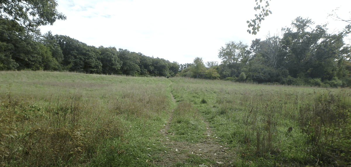 Charles River Reservation