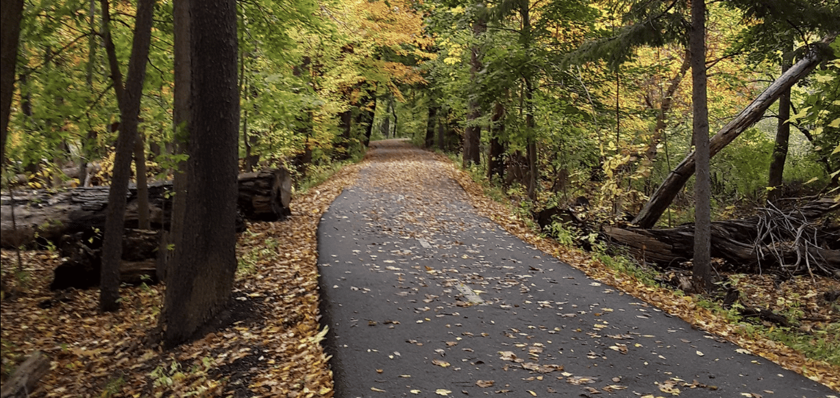 Emerald Necklace