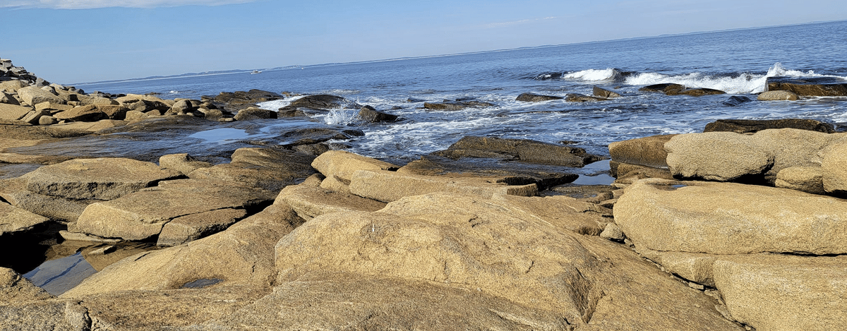 Halibut Point State Park