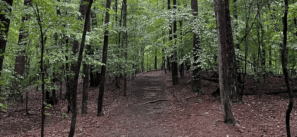 Lake Norman Lakeshore Trail