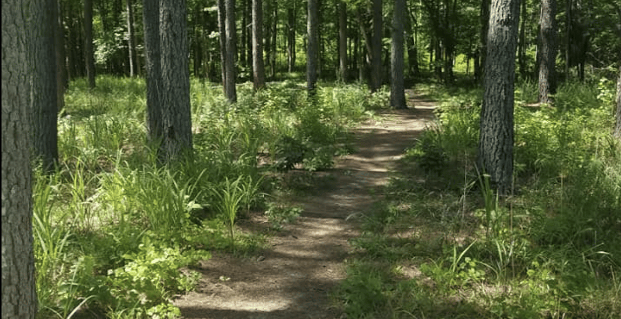 Latta Nature Preserve Trail