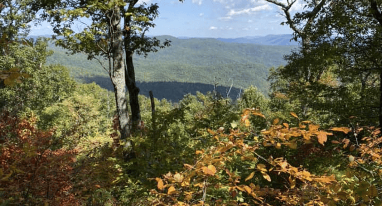 Linville Gorge Wilderness