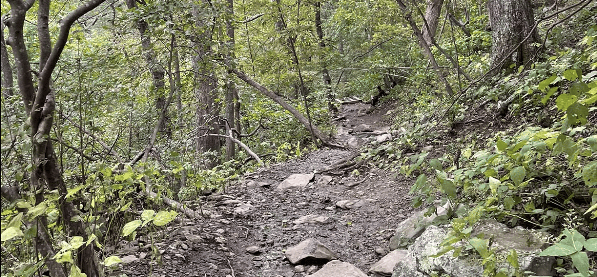 Rocktop Trail