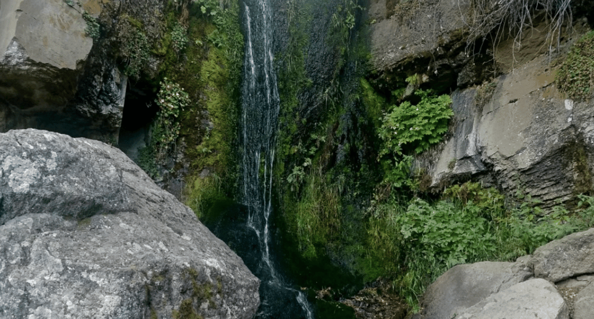 Ross Twin Falls