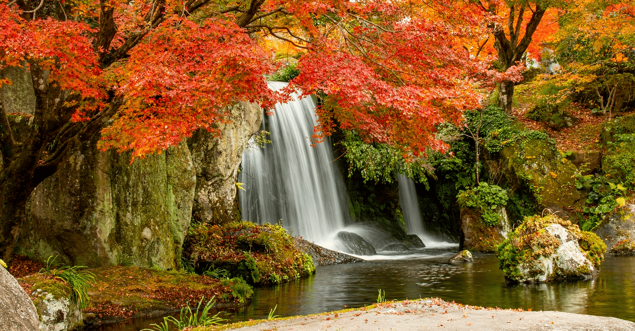 Scenic Waterfall