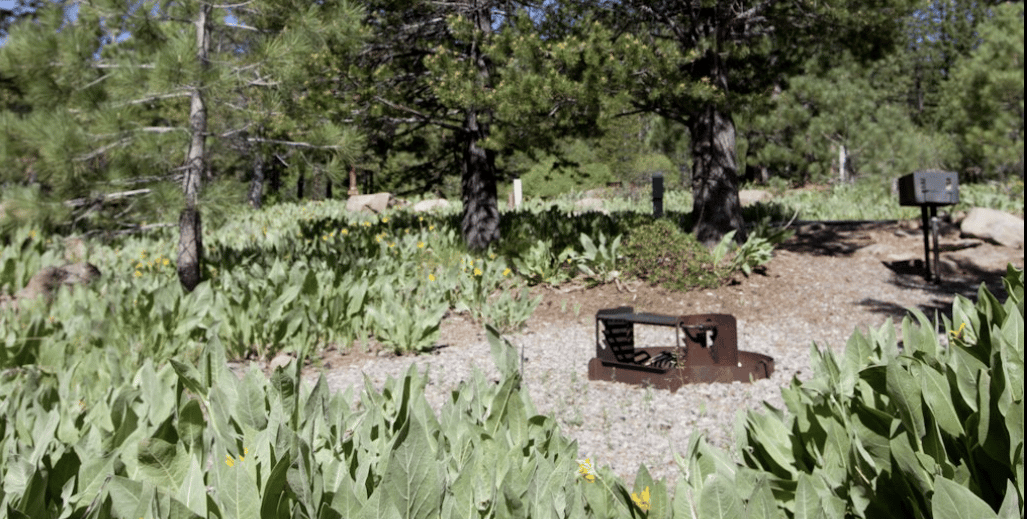 Alder Creek Campground