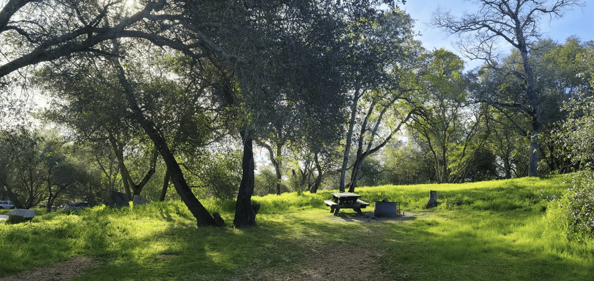 Beals Point Campground