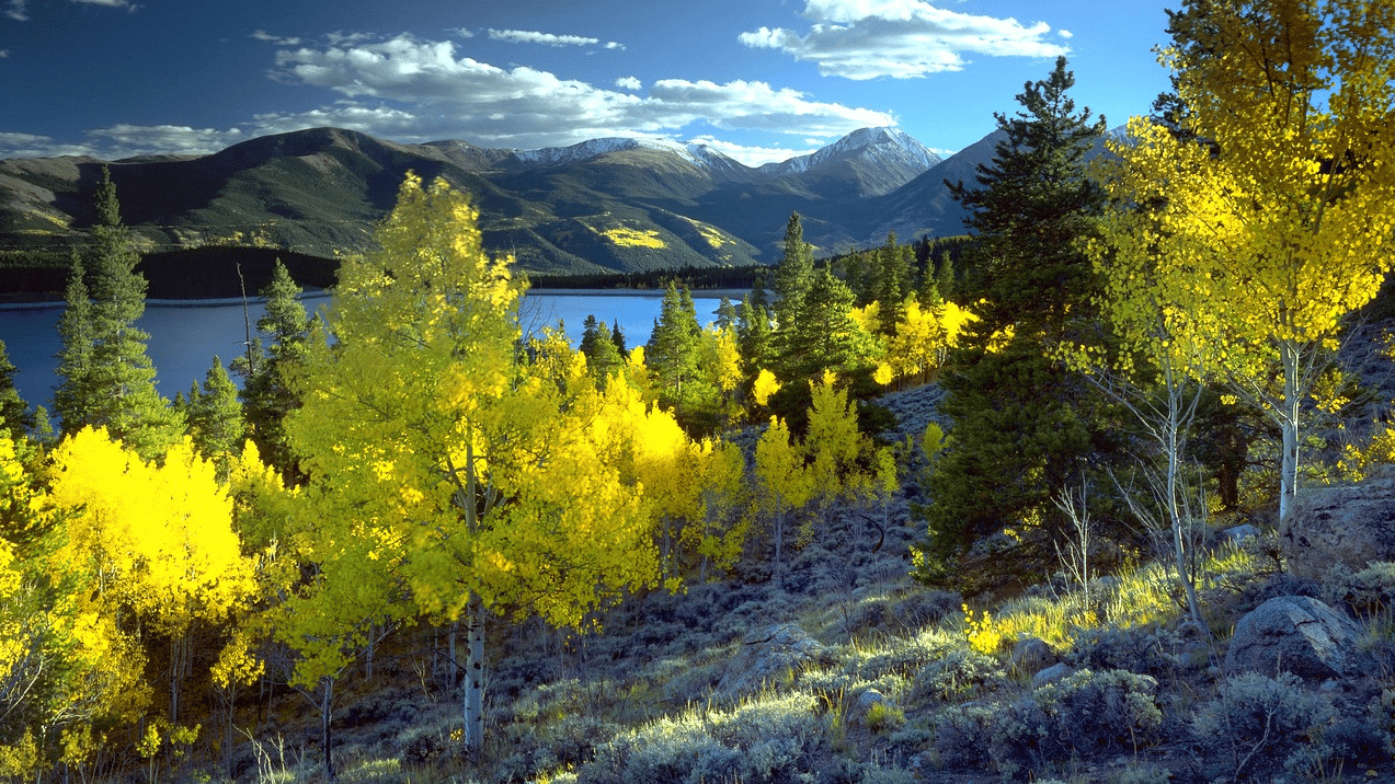 Camping in Denver