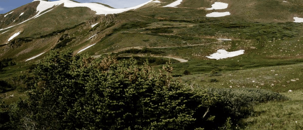 Jones Pass Road