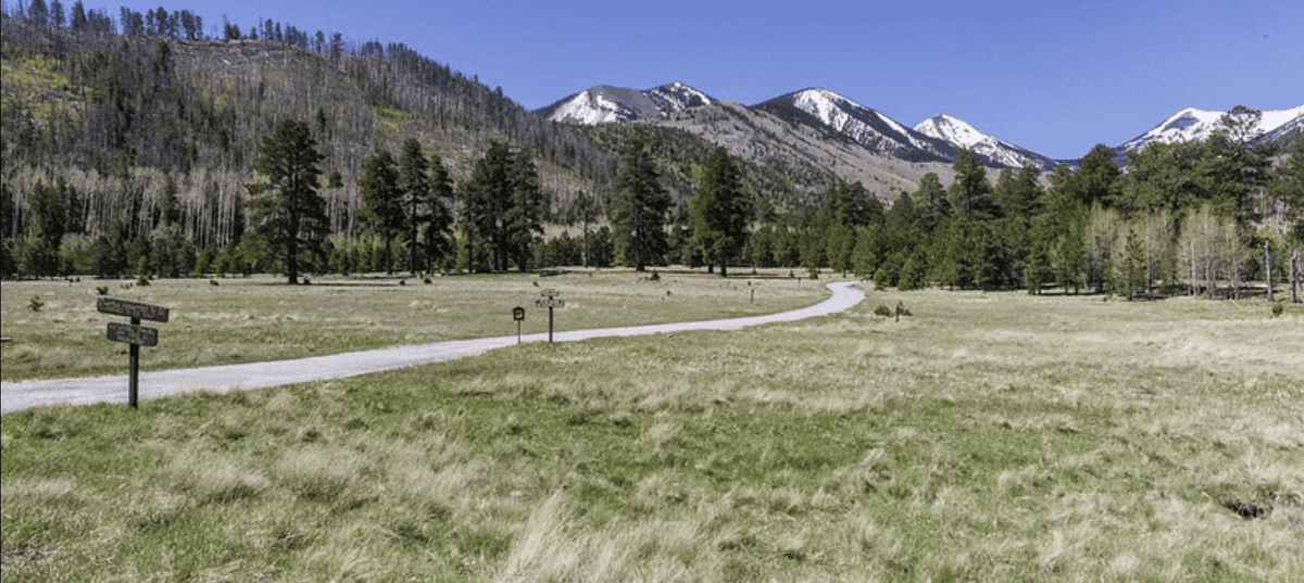 Lockett Meadow Campground