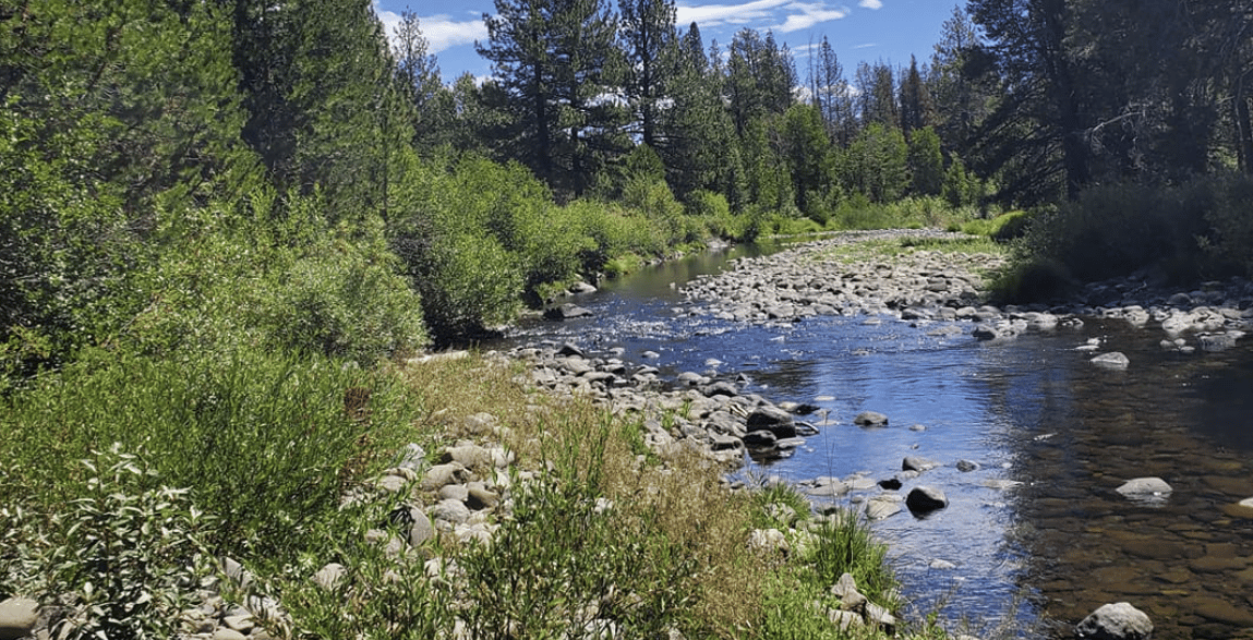 Upper Little Truckee Campground