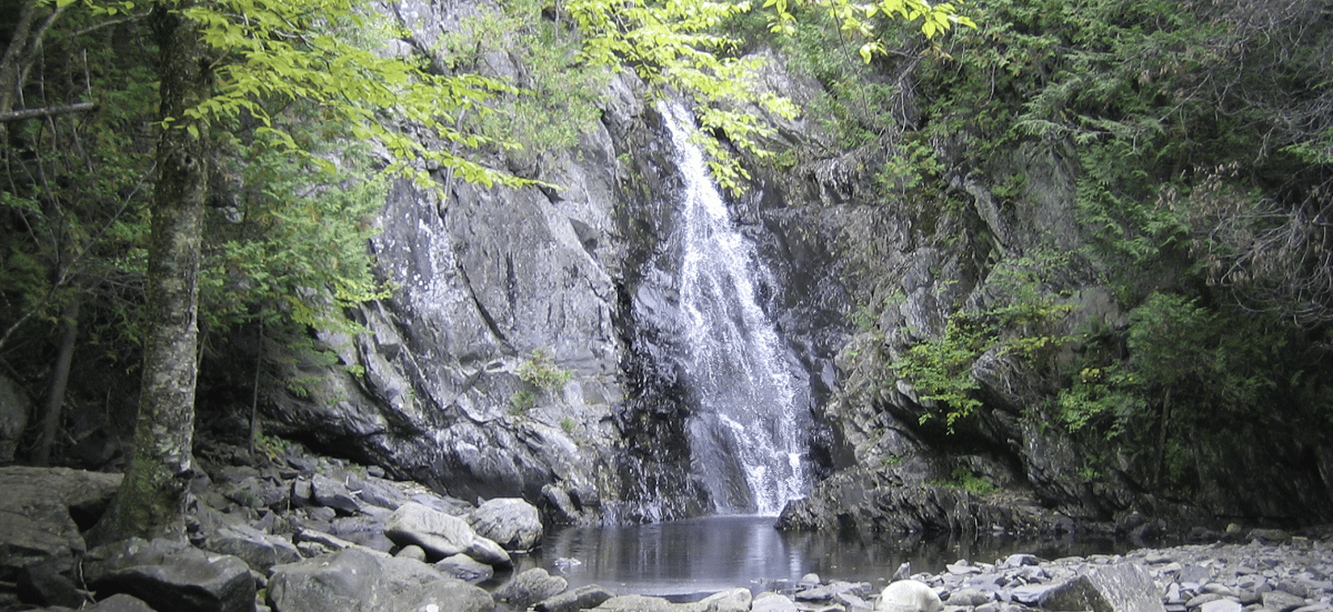 Poplar Stream Falls