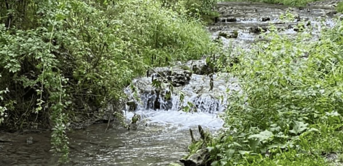 Backbone State Park Spillway and Falls