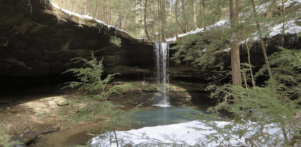 Bankhead National Forest