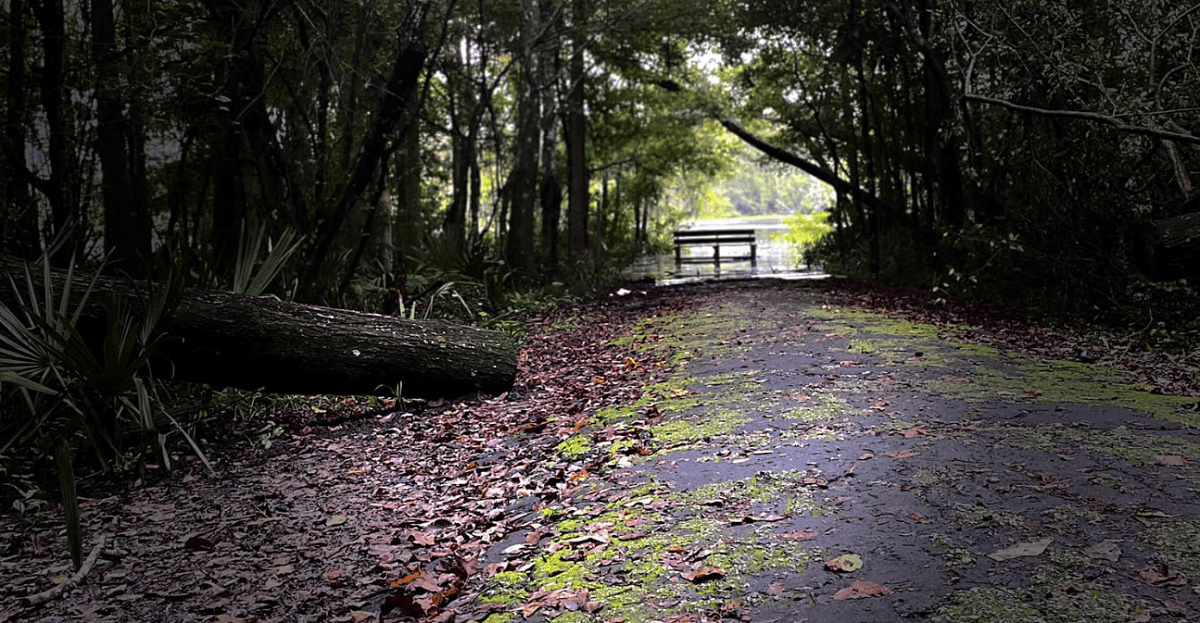 Black Creek Trail