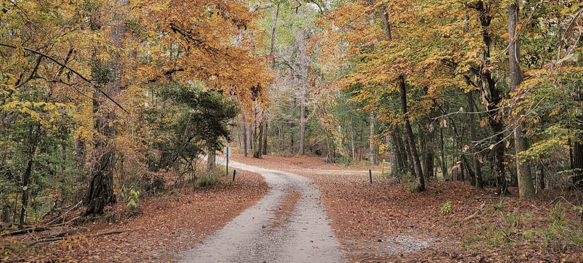 Blakeley State Park