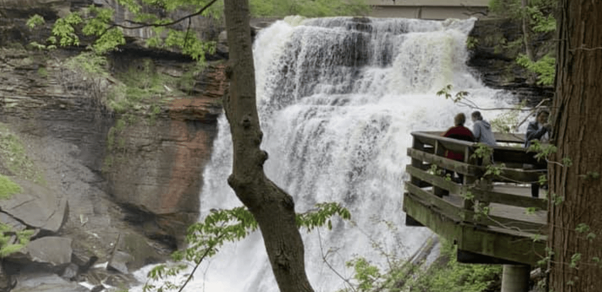 Brandywine Falls