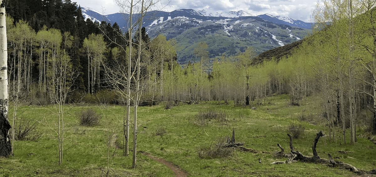 Buck Creek Trail