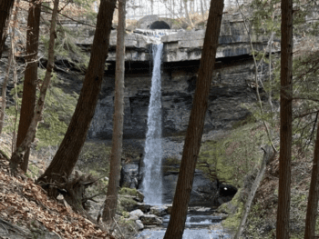 Carpenter Falls