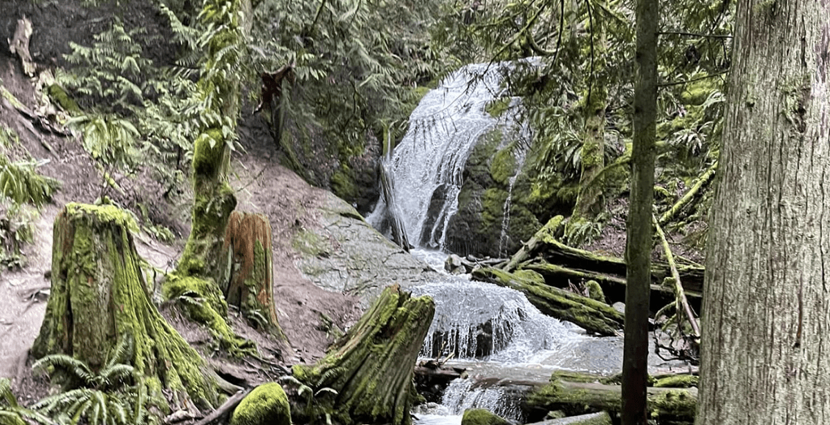 Coal Creek Falls