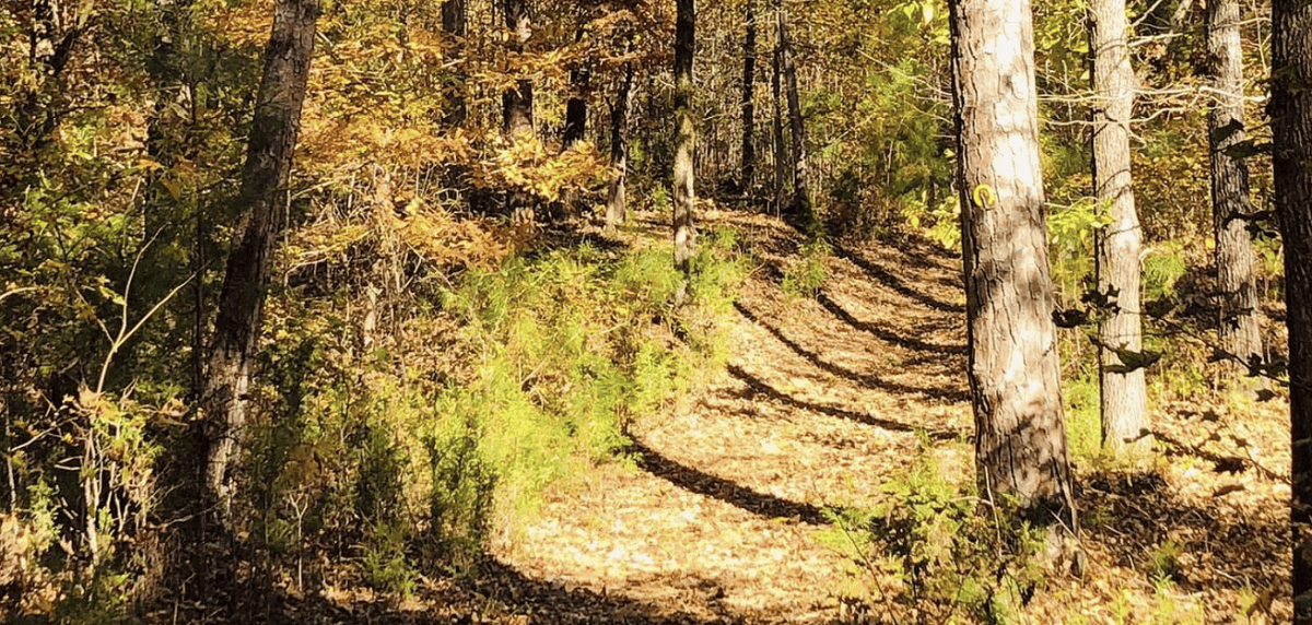 Creek Fire Hiking Trail