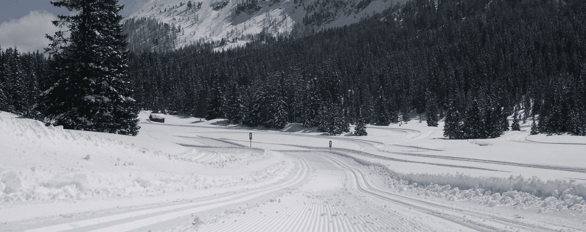 Cross Country Skiing in Alabama