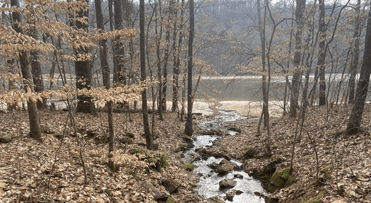 Cutchenmine Trail