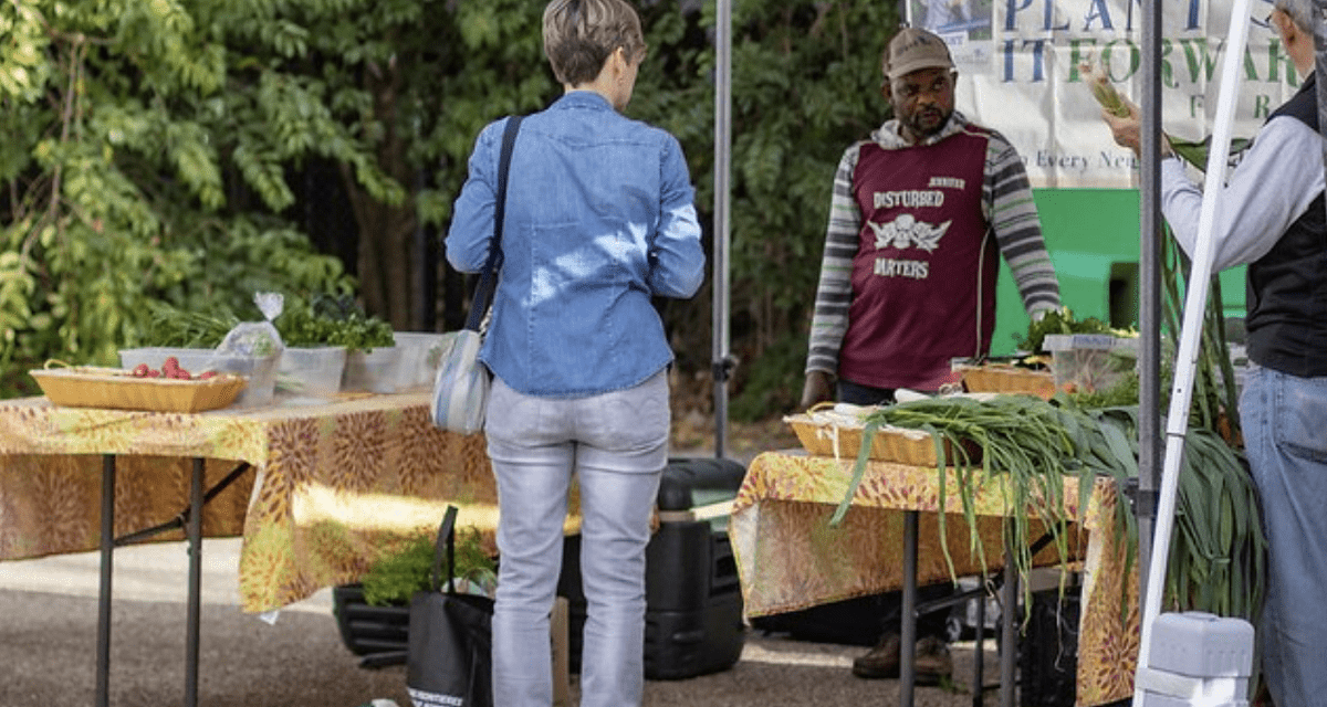 Harvest Square Farm Stand