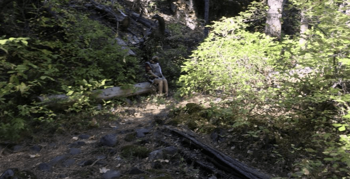 Hiking Trail at Deer Creek Falls