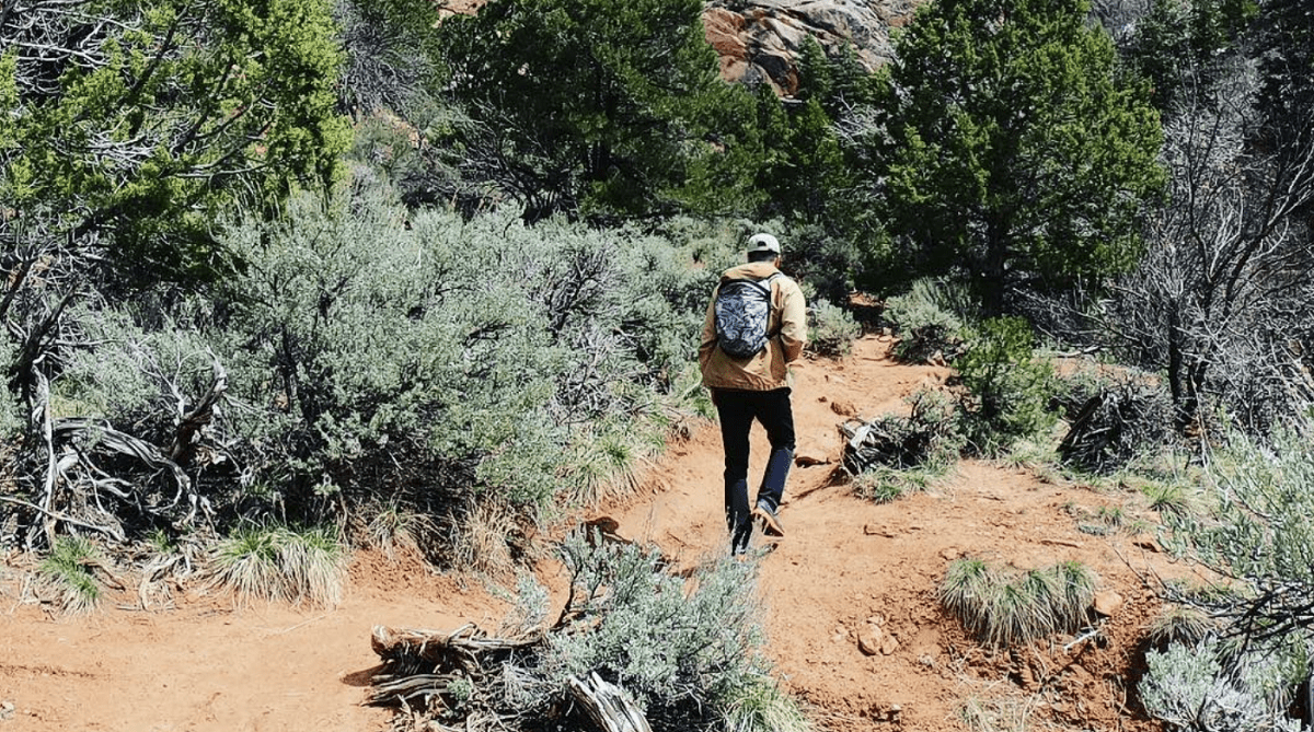 Hiking Trail at Kanarraville Falls