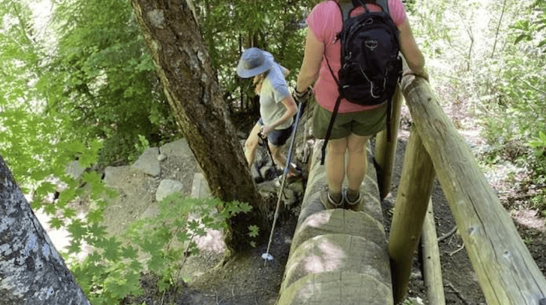 Hiking Trail to Salt Creek Falls