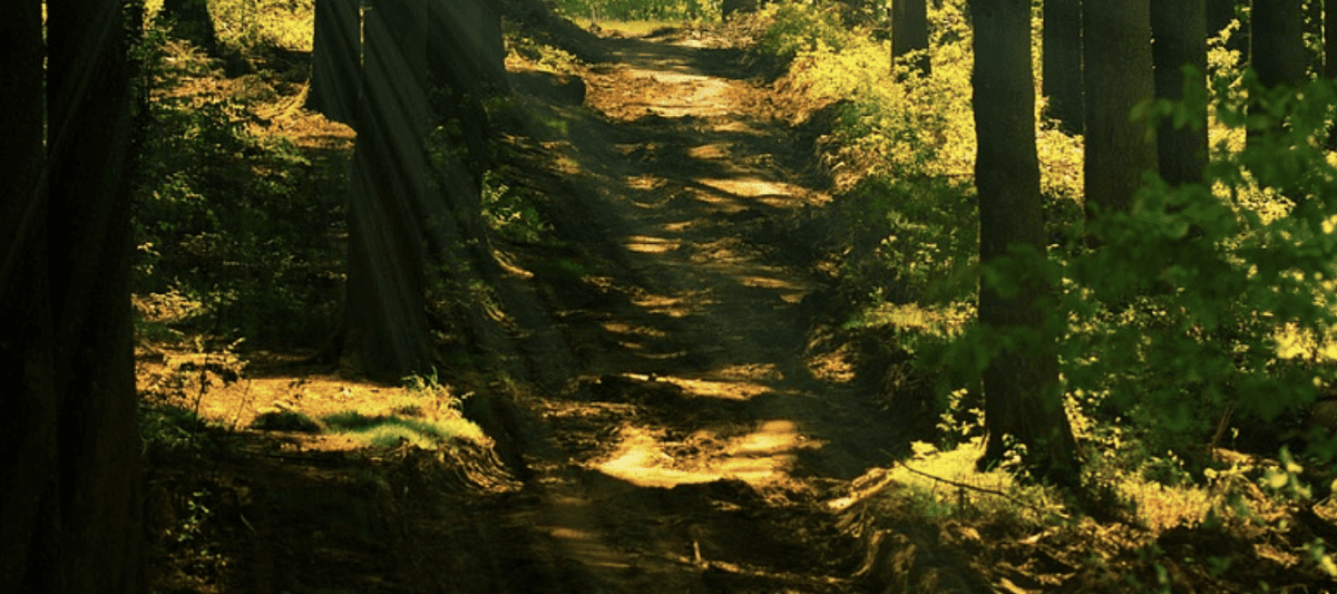Hiking Trails near Decatur