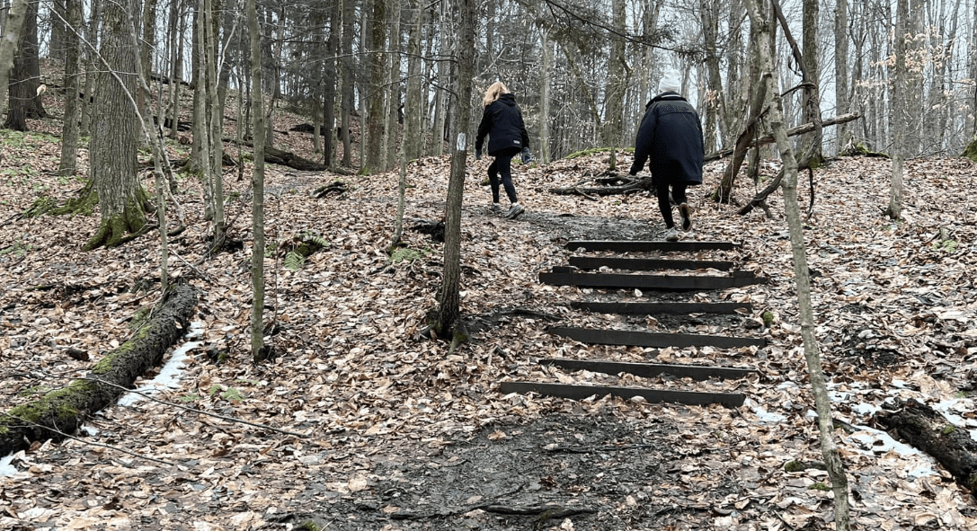 Hiking to Carpenter Falls