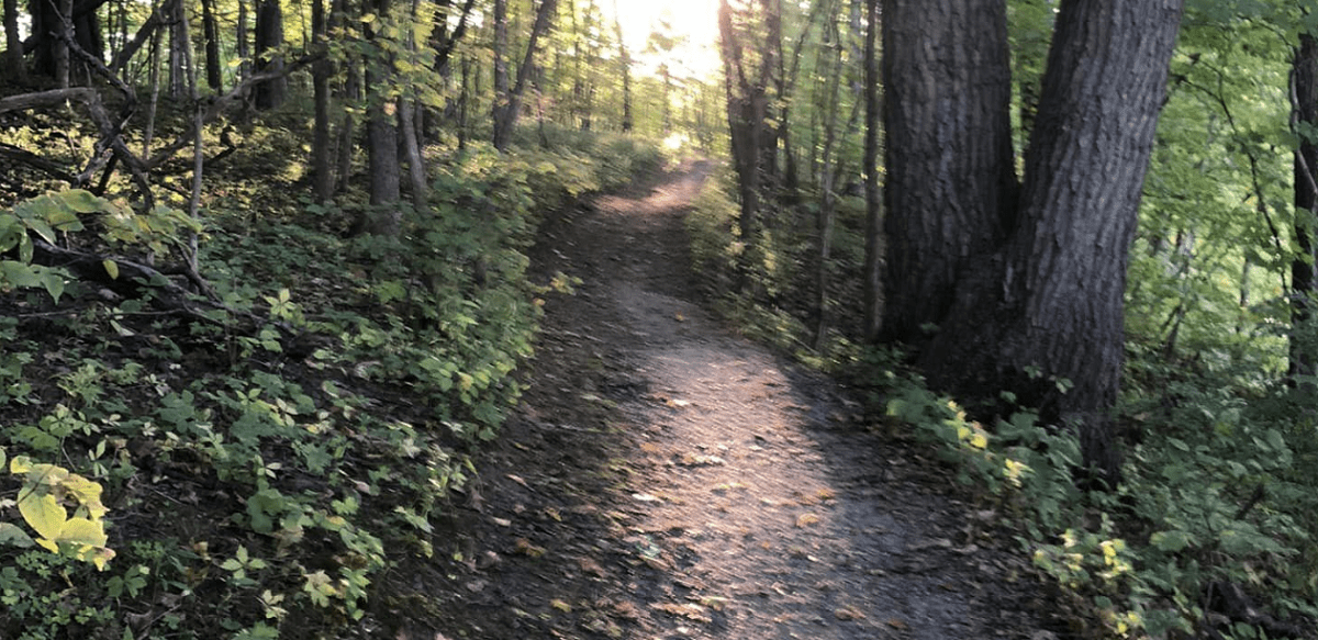 Holland Lakes Nature Trail