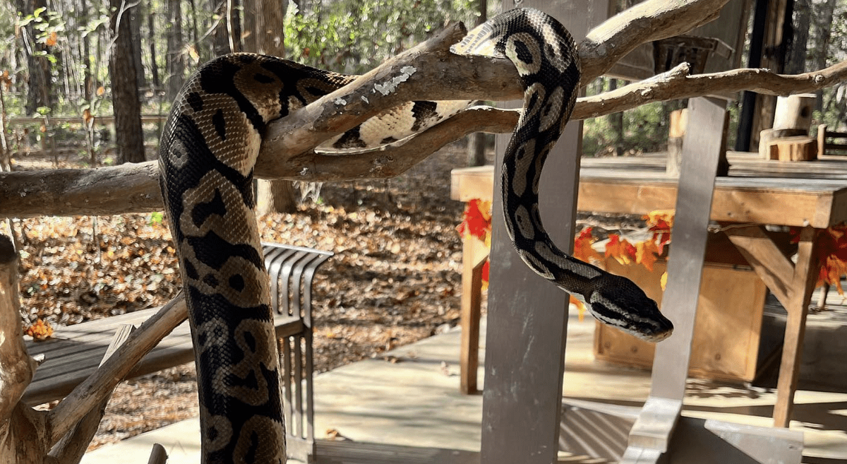 Louise Kreher Forest Ecology Preserve & Nature Center