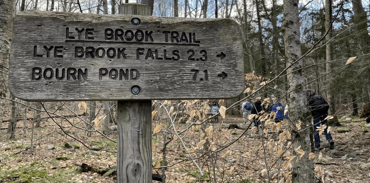 Lye Brook Falls Trail