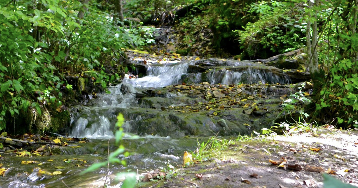 Malanaphy Spring Falls