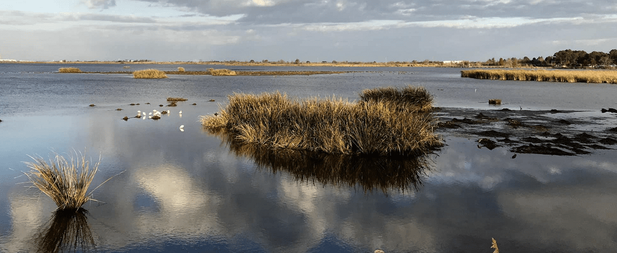 Meaher State Park