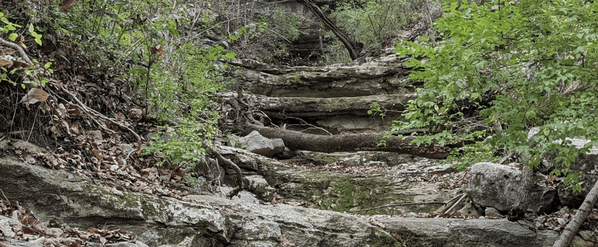 Monte Sano Nature Preserve