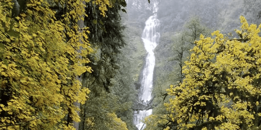 Munson Creek Falls