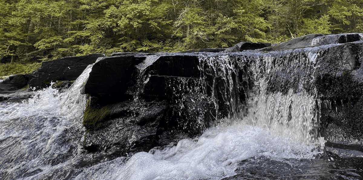 Neversink Falls