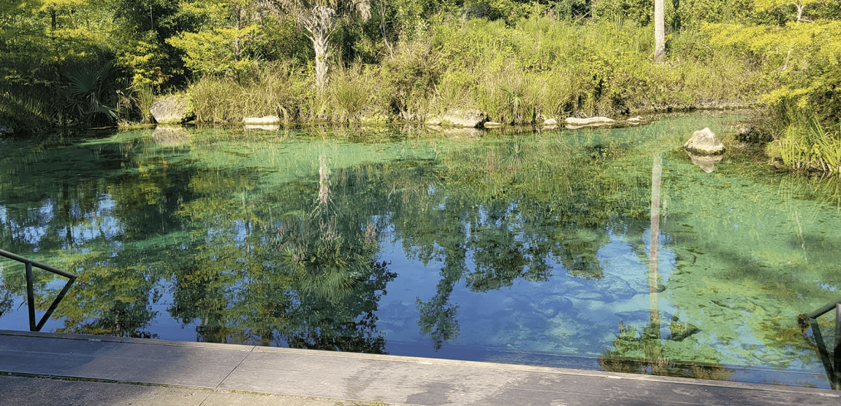 Pitt and Sylvan Springs FL