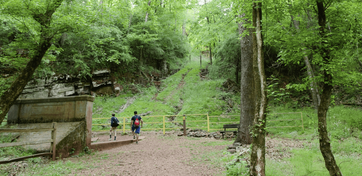 Red Mountain Park