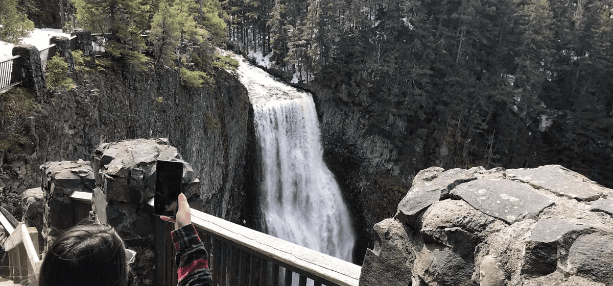 Salt Creek Falls - Viewing Area