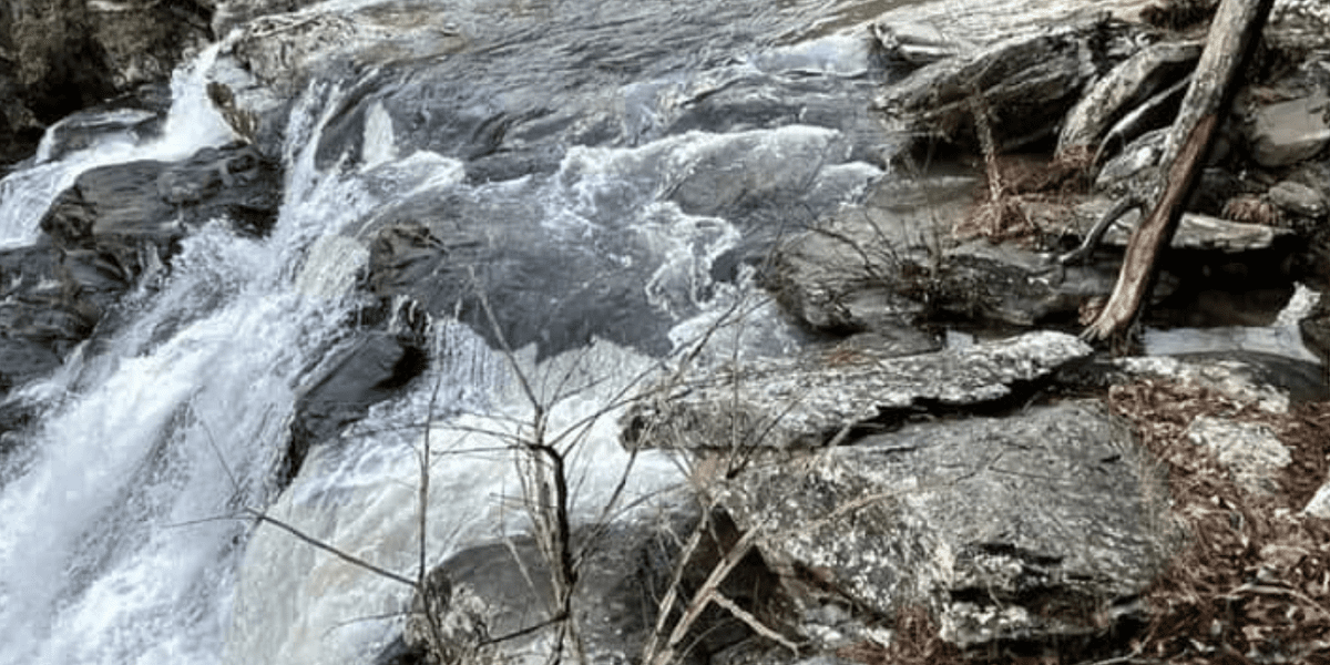 Salt Creek Falls