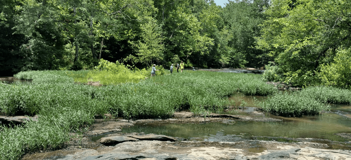 Saugahatchee Creek Camping