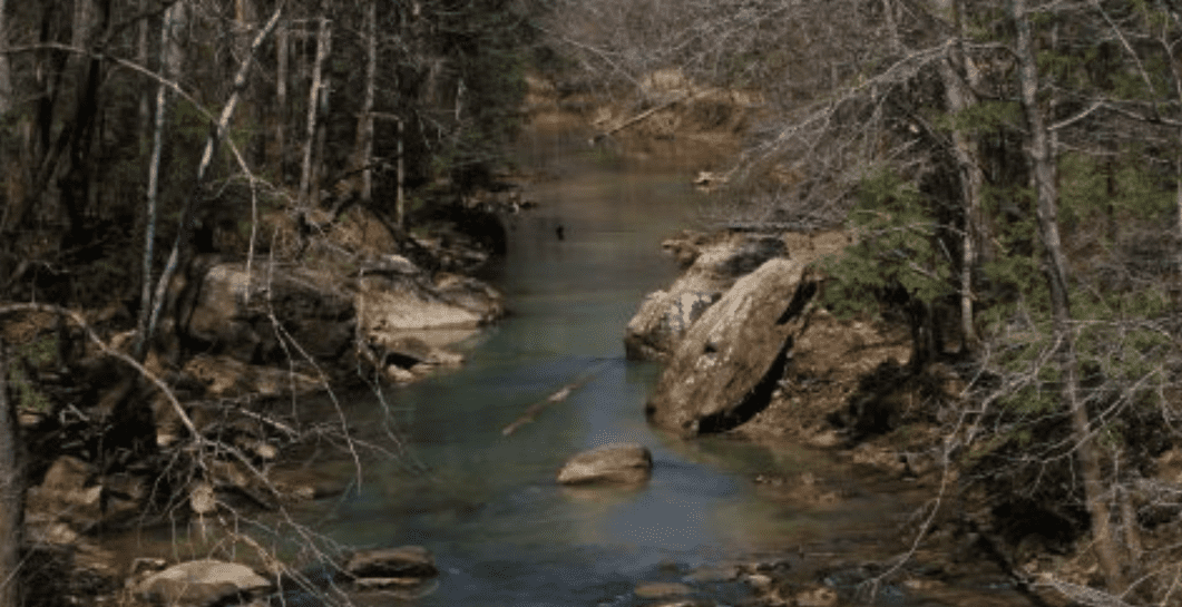 Sipsey River Trail