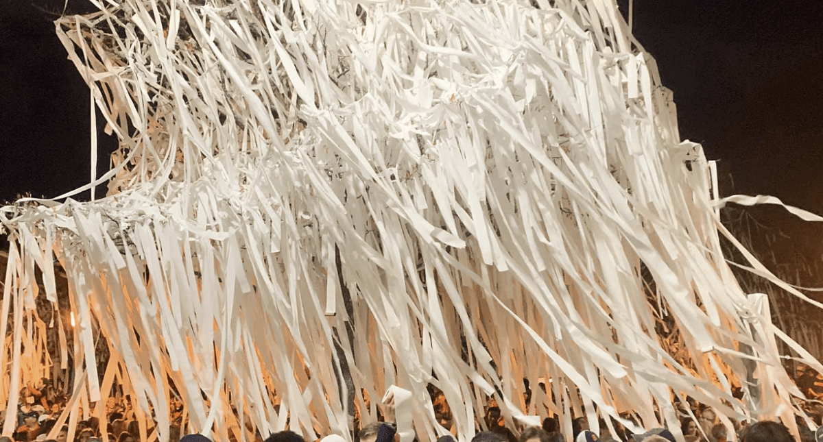 Toomer's Corner and Roll the Trees