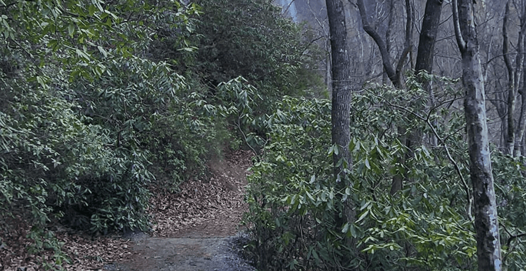 Trail to Hickory Nut Falls