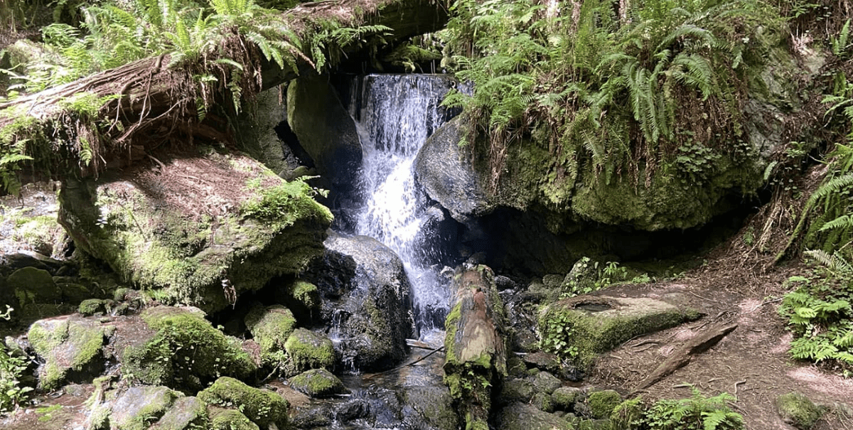 Trillium Falls - California